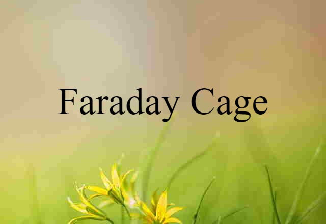 Faraday Cage (noun) Definition, Meaning & Examples