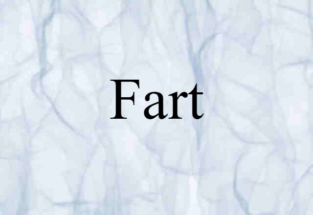 Fart (noun) Definition, Meaning & Examples