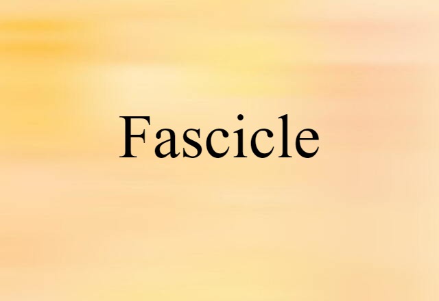 fascicle