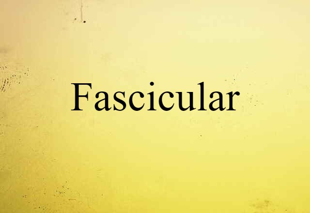 fascicular