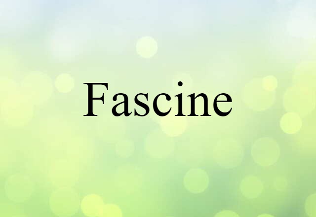 Fascine (noun) Definition, Meaning & Examples