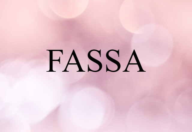 FASSA (noun) Definition, Meaning & Examples