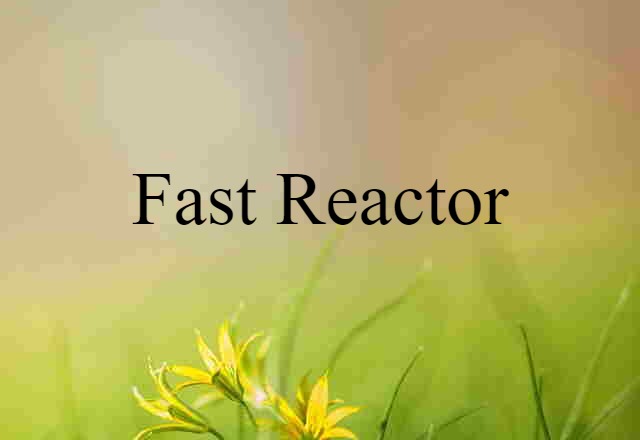 fast reactor