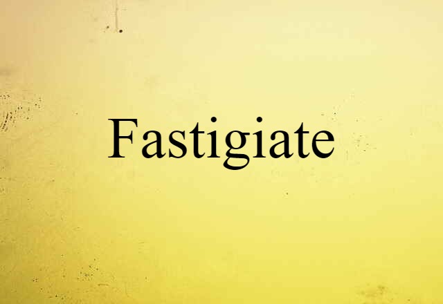 fastigiate