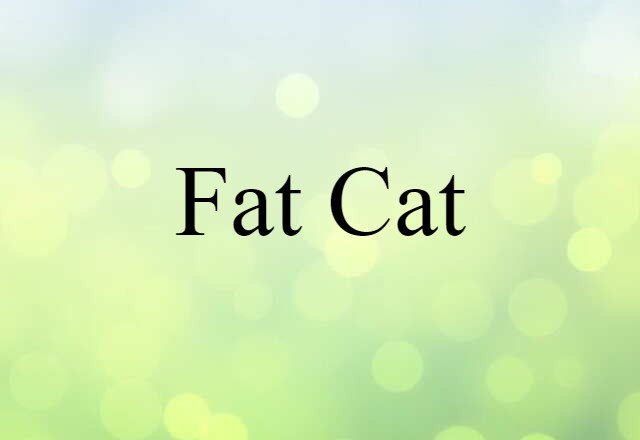 fat cat