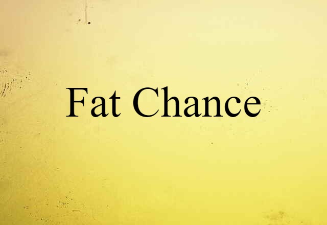 Fat Chance (noun) Definition, Meaning & Examples