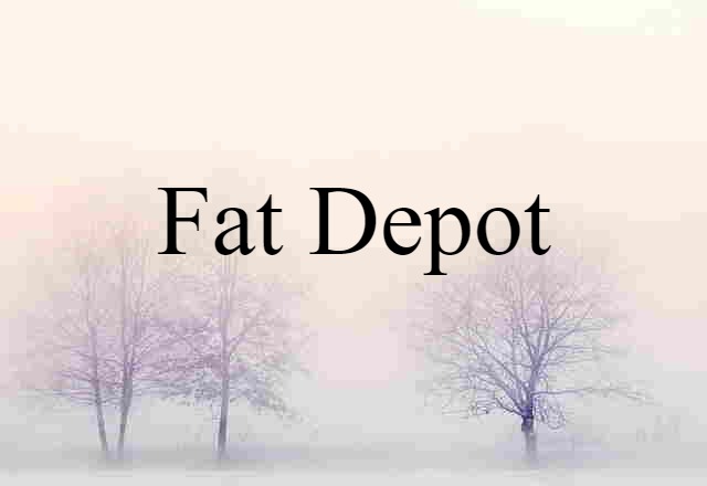 fat depot