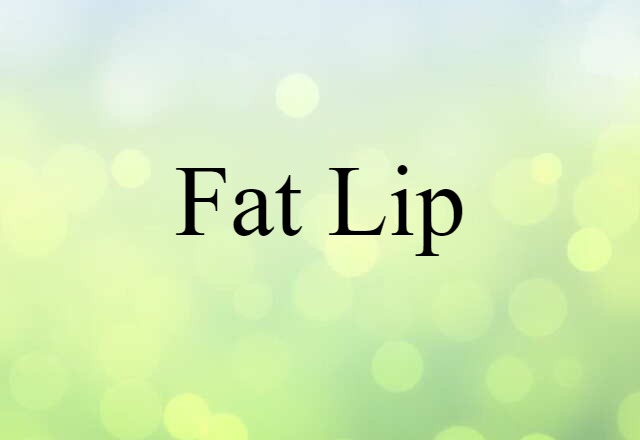 Fat Lip (noun) Definition, Meaning & Examples