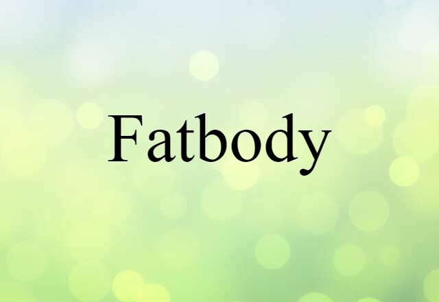 Fatbody (noun) Definition, Meaning & Examples