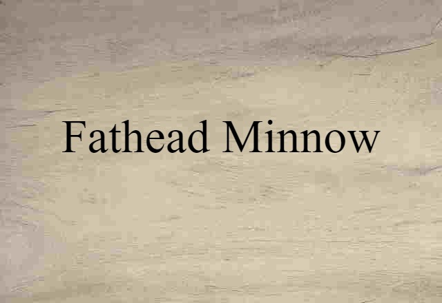 Fathead Minnow (noun) Definition, Meaning & Examples