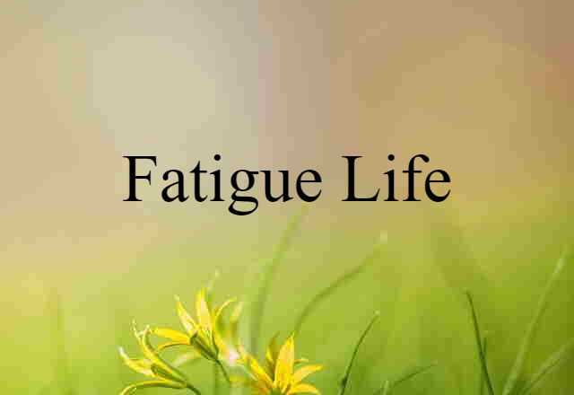 fatigue life