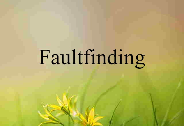 Faultfinding (noun) Definition, Meaning & Examples