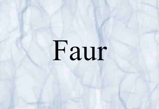 Faur (noun) Definition, Meaning & Examples