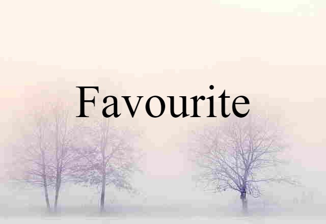 Favourite (noun) Definition, Meaning & Examples