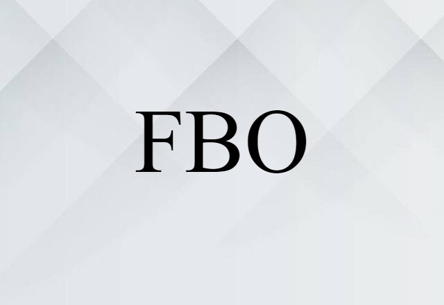 FBO (noun) Definition, Meaning & Examples