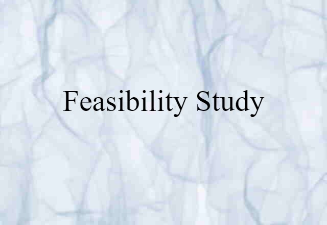 feasibility study