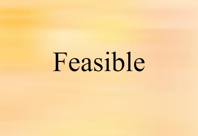 Feasible (noun) Definition, Meaning & Examples