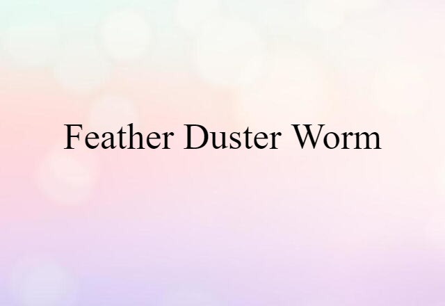 feather-duster worm