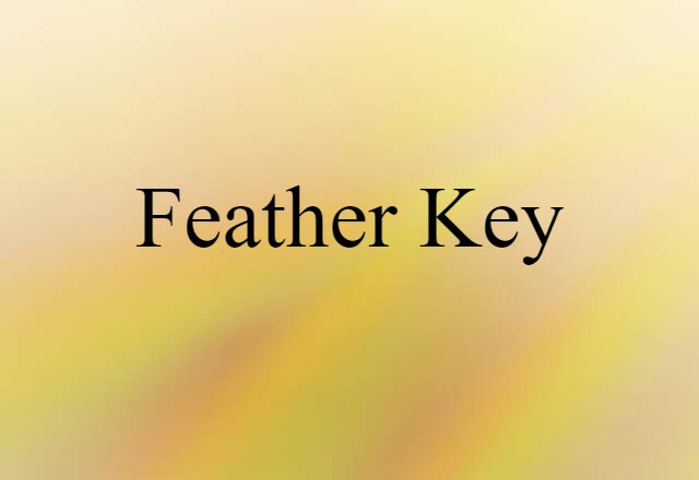 feather key