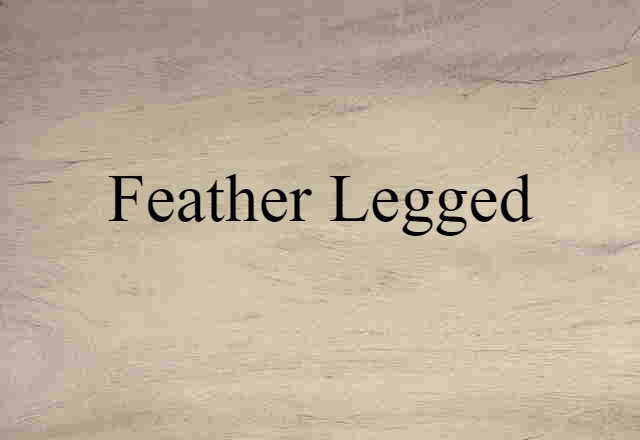 Feather Legged (noun) Definition, Meaning & Examples