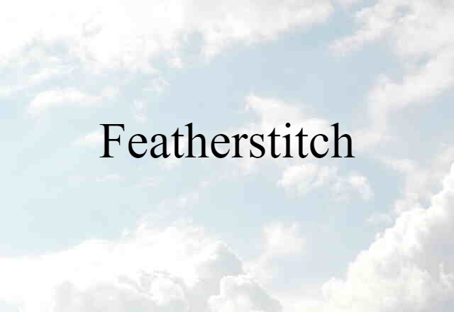 Featherstitch (noun) Definition, Meaning & Examples