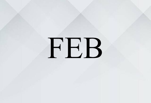 FEB (noun) Definition, Meaning & Examples