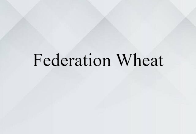 Federation wheat