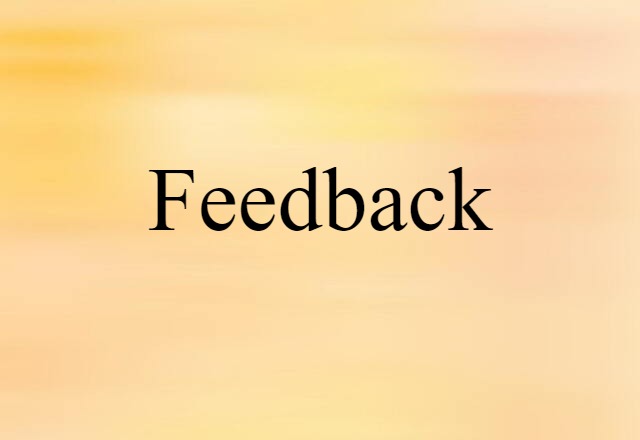 feedback