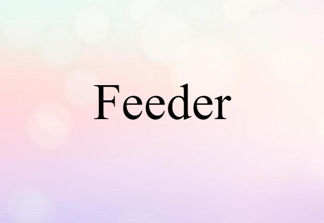 Feeder (noun) Definition, Meaning & Examples