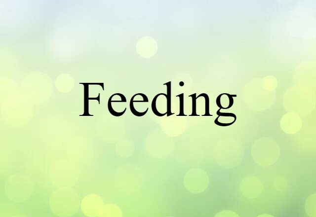 feeding