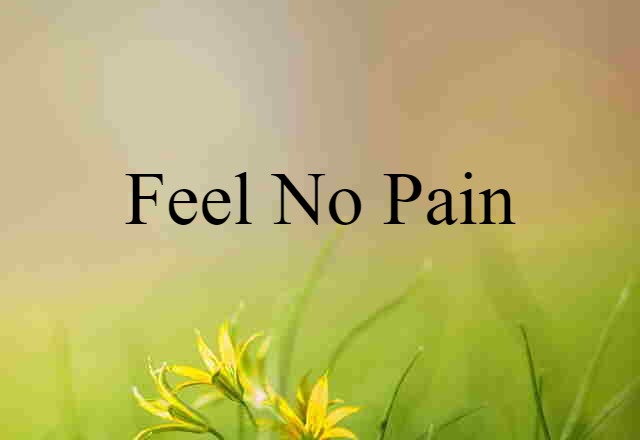 feel no pain