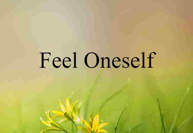 Feel Oneself (noun) Definition, Meaning & Examples