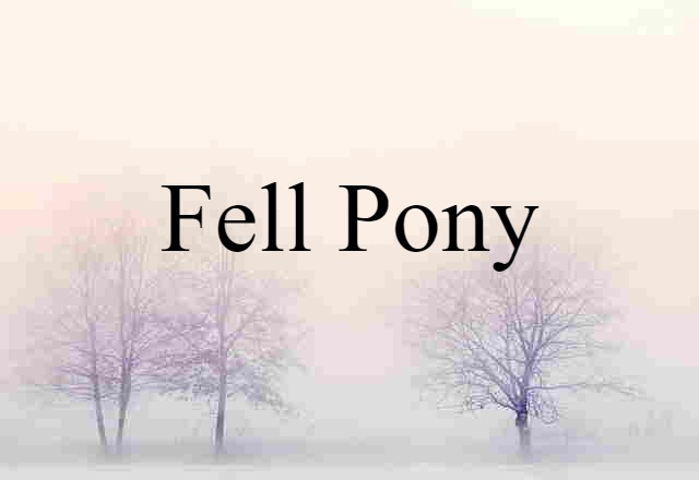 fell pony