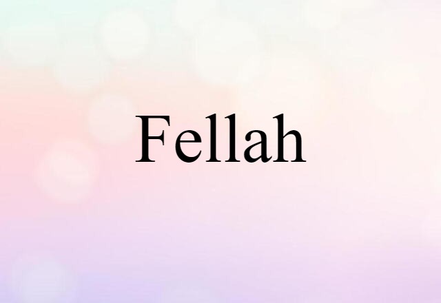 fellah