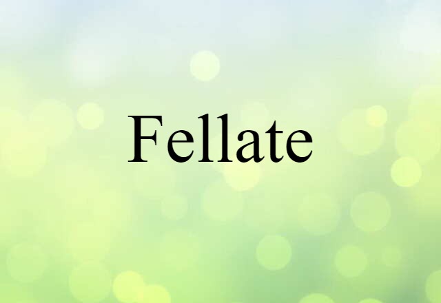 Fellate (noun) Definition, Meaning & Examples