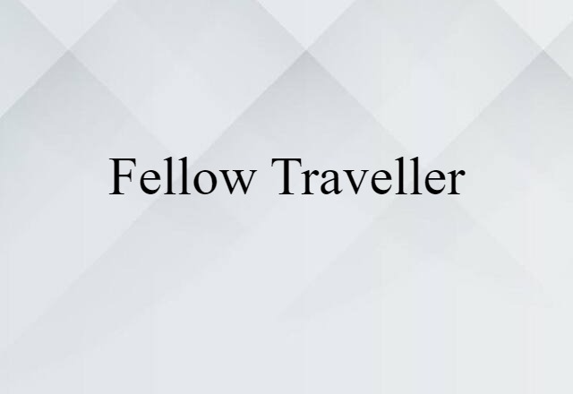 Fellow Traveller (noun) Definition, Meaning & Examples