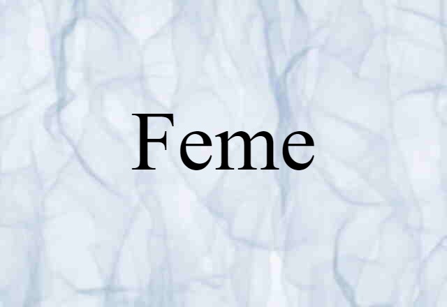 Feme (noun) Definition, Meaning & Examples