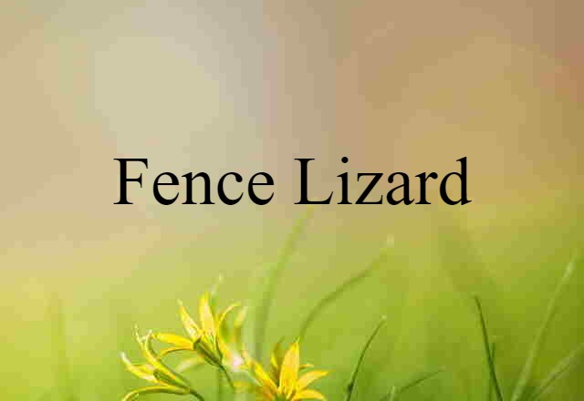 Fence Lizard (noun) Definition, Meaning & Examples