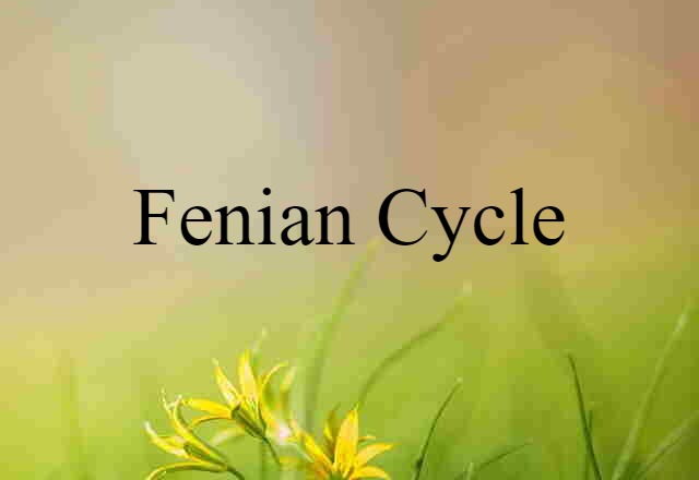 Fenian Cycle (noun) Definition, Meaning & Examples