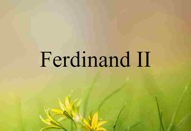 Ferdinand II (noun) Definition, Meaning & Examples