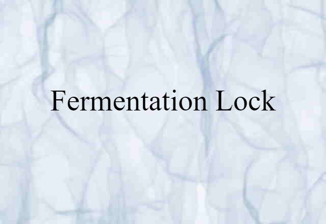 fermentation lock