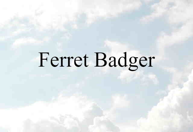 Ferret Badger (noun) Definition, Meaning & Examples