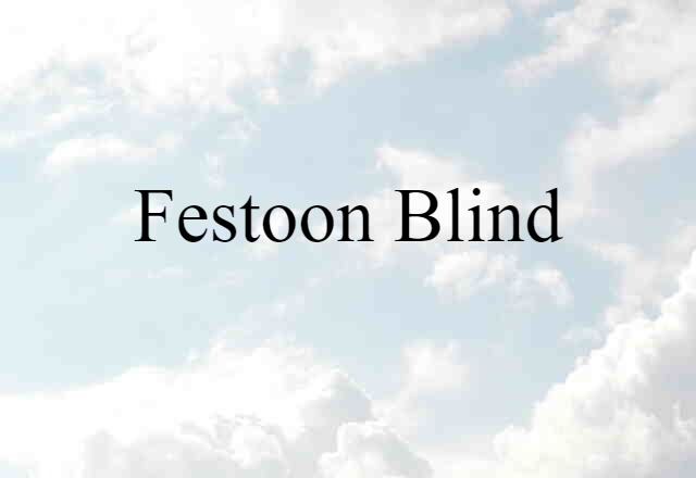 Festoon Blind (noun) Definition, Meaning & Examples