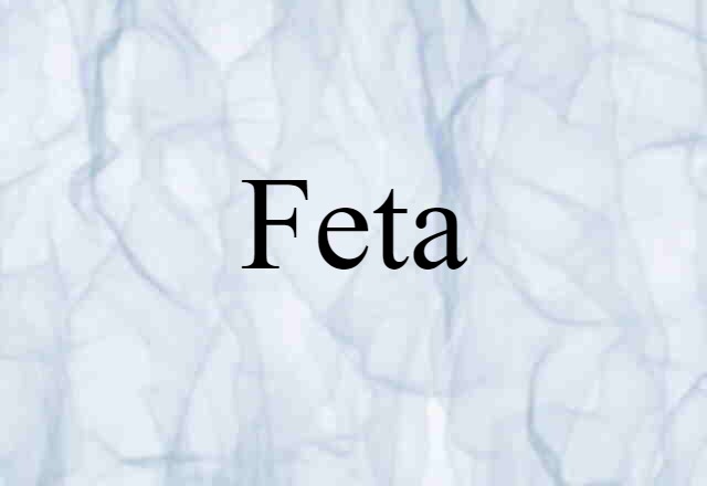 Feta (noun) Definition, Meaning & Examples