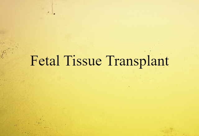 fetal tissue transplant