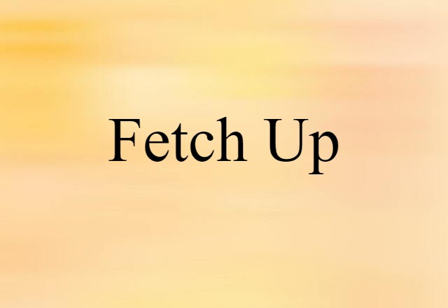 fetch up