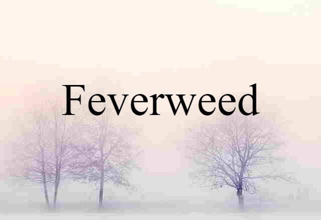 Feverweed (noun) Definition, Meaning & Examples