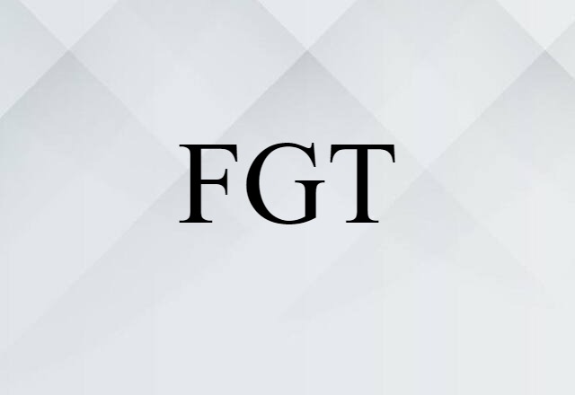 FGT (noun) Definition, Meaning & Examples