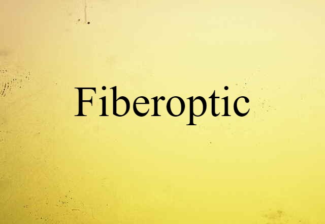 Fiberoptic (noun) Definition, Meaning & Examples