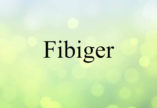 Fibiger (noun) Definition, Meaning & Examples